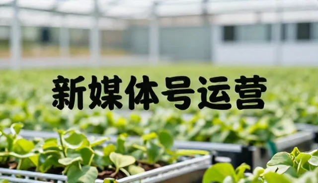 新媒体账号代运营适用情况与限制分析